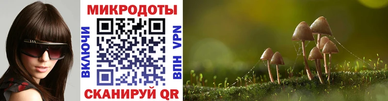 купить наркотик  Лянтор  Галлюциногенные грибы Psilocybe 