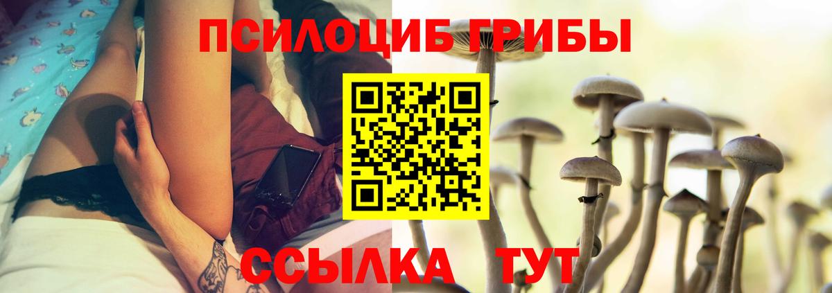 Лянтор  Галлюциногенные грибы прущие грибы  Вход с VPN 